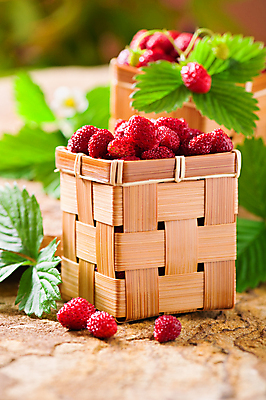 포토 JPG 해외이미지 식물 계절 열매 꽃 음식 잎 과일 딸기 사람없음 바구니 정원 신선 달콤 맛 작음 가득함 유기농 내추럴 숙성 채식주의자 해외포토 웰빙 컨셉 크기 채식 파일형식 이미지허브