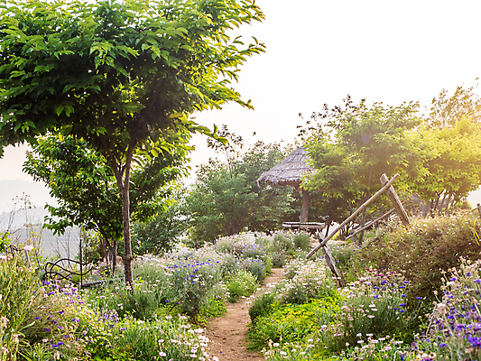 포토 JPG 해외이미지 나무 식물 꽃 가구 잎 의자 자연 탁자 휴식 풍경 잔디 사람없음 야외 목재 초록색 여름 세트 정원 침묵 해외포토 계절 컬러 생활용품 컨셉 재료 소리 생태계 파일형식 이미지허브