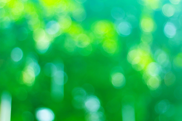 포토 JPG 해외이미지 계절 백그라운드 컨셉 잎 패턴 자연 벽지 추상 전등 사람없음 장식 초록색 여름 빛 컬러풀 햇빛 환경 봄 축하 신선 소프트포커스 에코 질감 보케 부드러움 내추럴 광 블러 생태학 효과 해외포토 식물 교육 컬러 무늬 조명 촬영기법 태양 감각 생태계 파일형식 이미지허브