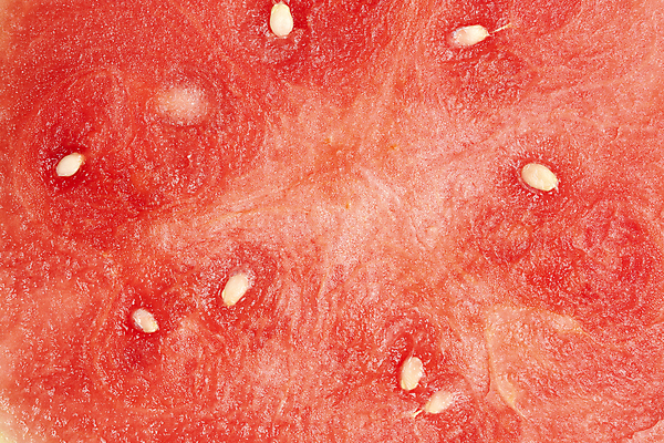 포토 JPG 해외이미지 단면 수박 실내 사람없음 빨간색 하이앵글 달콤 수박씨 제철과일 해외일러스트 뷰포인트 컬러 과일 씨앗 내부 맛 제철 파일형식 이미지허브