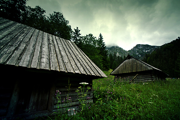 포토 JPG 해외이미지 나무 구름 1 밭 건축양식 자연 하늘 지붕 산 주택 사람 풍경 사람없음 야외 건물 목재 초록색 파란색 농장 갈색 평화 계곡 침묵 흐름 안개 가을 시골 소나무 개울 소 고독 숲 작음 오두막 시골집 옛날 판잣집 해외포토 자연요소 식물 건축물 계절 건축 감정 컬러 컨셉 농업 재료 포유류 날씨 강 소리 크기 생태계 파일형식 이미지허브