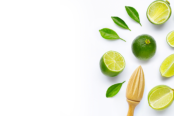 포토 JPG 해외이미지 잎 단면 사람없음 흰배경 라임 과즙기 카피스페이스 해외포토 식물 백그라운드 과일 공백 흰색 파일형식 이미지허브