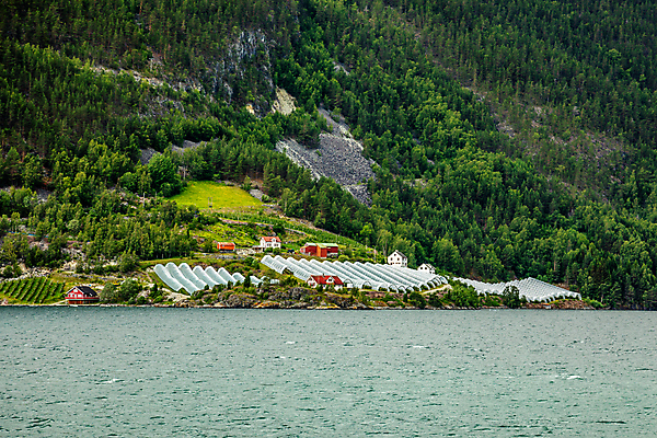포토 JPG 해외이미지 주간 바다 산 노르웨이 사람없음 야외 농장 시골 해외포토 자연요소 유럽 농업 파일형식 이미지허브