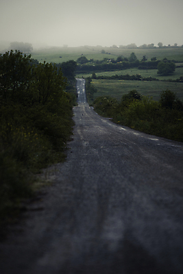 포토 JPG 해외이미지 식물 계절 도로 길 선 여행 백그라운드 이동 겨울 교통시설 자연 날씨 산 풍경 사람없음 야외 갈색 습기 젖음 수확 안개 가을 농촌 시골 보행로 야간 소프트포커스 아스팔트 속도 질감 복고 각도 날카로움 시멘트 활주로 배수구 콘크리트 스타일 효과 해외포토 자연요소 컬러 교통 컨셉 농업 촬영기법 시설 생태계 파일형식 이미지허브