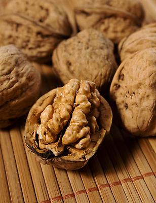 포토 JPG 해외이미지 음식 과일 자연 건조 건강 사람없음 견과류 껍질 오픈 유기농 반쪽 호두 가뭄 성분 내추럴 해외포토 웰빙 날씨 생태계 파일형식 이미지허브