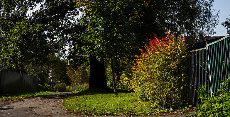 포토 JPG 해외이미지 나무 식물 디자인 계절 공원 꽃 벽 여행 백그라운드 잎 밭 농업 건축양식 자연 잔디 사람없음 야외 목재 빨간색 초록색 울타리 컬러풀 햇빛 평화 정원 봄 흰색 신선 숲 오브젝트 질감 합성 지역 10월 내추럴 해외포토 공공시설 건축 산업 컬러 컨셉 재료 담장 태양 날짜 생태계 파일형식 이미지허브