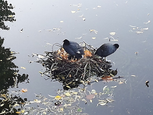 포토 JPG 해외이미지 음식 농업 비즈니스 건축양식 사람 사람없음 건물 반사 자전거 도시 시장 모서리 냄비 네덜란드 대학교 정사각형 광장 미로 시청 지도책 포럼 해외포토 도형 건축물 건축 유럽 산업 학교 책 바이크 솥 토론 관공서 파일형식 이미지허브