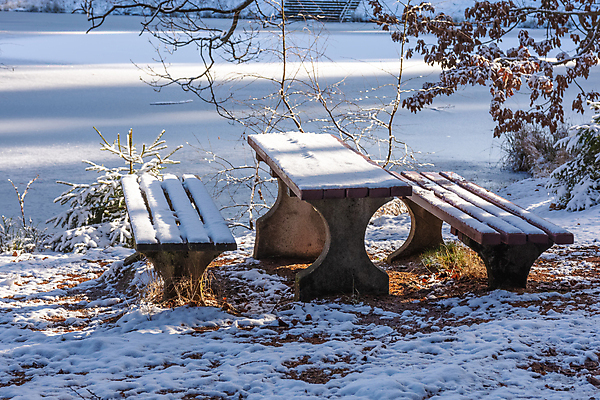 포토 JPG 해외이미지 계절 공원 겨울 벤치 자연 탁자 날씨 휴식 노르웨이 풍경 사람없음 야외 목재 파란색 얼음 추위 흰색 신선 도시 12월 서리 장면 지역 일반 넘어짐 해외포토 자연요소 나무 공공시설 유럽 컬러 가구 컨셉 의자 재료 모션 날짜 생태계 파일형식 이미지허브