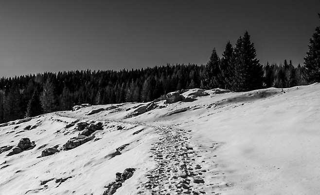포토 JPG 해외이미지 나무 라이프스타일 계절 공원 도로 길 여행 백그라운드 크리스마스 겨울 곡선 자국 자연 하늘 날씨 산 사람없음 야외 빛 평화 얼음 이탈리아 산책 트래킹 하이킹 추위 흰색 시골 소나무 숲 서리 장면 침엽수 방법 선로 눈내림 해외포토 자연요소 식물 공공시설 기념일 유럽 선 컬러 컨셉 교통시설 레저 휴식 눈_날씨 생활 생태계 파일형식 이미지허브