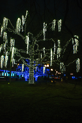 포토 JPG 해외이미지 나무 유럽 여행 크리스마스 겨울 하늘 휴가 전등 조명 새로움 거리 사람없음 장식 파란색 빛 축하 도시 야간 저녁 연도 정사각형 장면 빛망울 헬싱키 해외포토 자연요소 도형 식물 계절 기념일 나라 컬러 컨셉 핀란드 파일형식 이미지허브