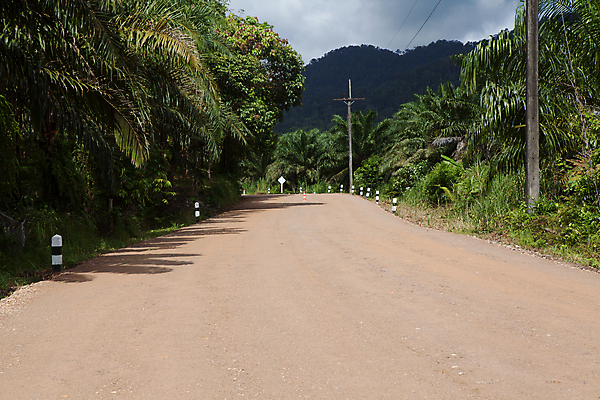 포토 JPG 해외이미지 나무 산업 도로 길 선 백그라운드 교통시설 자연 사람없음 야외 빛 햇빛 흙 봄 공구 시골 업무 수리 땅 방향 발굴 먼지 장면 내추럴 방법 선로 스텝 회복 수평선 해외포토 식물 계절 교통 컨셉 태양 도구 작업 시설 생태계 파일형식 이미지허브