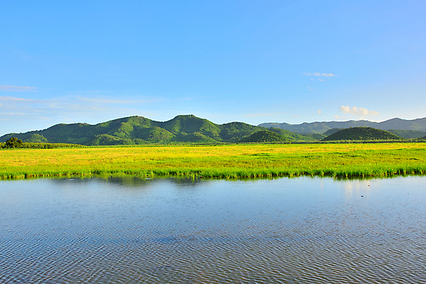 포토 JPG 해외이미지 나무 식물 계절 아시아 바다 백그라운드 밭 농업 자연 하늘 밥 아침 산 손바닥 사람없음 야외 초록색 물 파란색 햇빛 뷰티 농장 반사 정원 수확 성장 시골 땅 가득함 장면 수평선 해외포토 주간 자연요소 손 나라 산업 음식 컬러 태양 생태계 파일형식이미지허브 