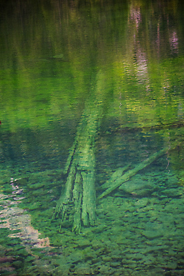 포토 JPG 해외이미지 나무 유럽 호수 여행 백그라운드 자연 하늘 휴식 산 사람없음 야외 초록색 물 파란색 반사 걷기 환경 고요 놀람 봄 이탈리아 거울 하이킹 보트 숲 알프스 암초 내추럴 절정 해외포토 자연요소 식물 계절 감정 나라 컬러 컨셉 배_교통 모션 레저 표정 생태계 파일형식 이미지허브