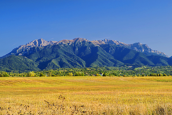 포토 JPG 해외이미지 나무 계절 여행 백그라운드 밭 자연 하늘 휴가 산 파노라마 사람없음 야외 목재 초록색 파란색 빛 햇빛 태양 뷰티 농장 마을 환경 계곡 맑음 봄 시골 소나무 오스트리아 숲 스위스 언덕 산봉우리 전나무 내추럴 해외포토 자연요소 식물 유럽 컬러 농업 재료 날씨 촬영기법 생태계 봉우리 파일형식 이미지허브