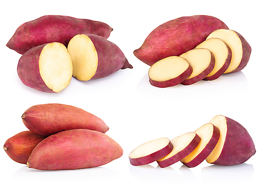 포토 JPG 해외이미지 단면 실내 사람없음 흰배경 슬라이스 고구마 해외포토 백그라운드 뿌리채소 내부 흰색 파일형식 이미지허브