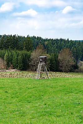 포토 JPG 해외이미지 나무 사다리 서기 사람없음 목재 일출 맑음 황혼 일몰 봄 새벽 보호 숲 오두막 사냥 사냥꾼 상록수 공터 시각장애인 해외포토 자연요소 식물 직업 계절 컨셉 재료 모션 날씨 노을 도구 장애인 파일형식 이미지허브