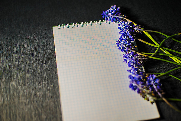 포토 JPG 해외이미지 디자인 교육 종이 백그라운드 컨셉 일러스트 비즈니스 학교 탁자 검은배경 아이디어 실내 창조 사람없음 책 가로 노트북 사무실 펜 유행 다이어리 검은색 쪽지 공책 공백 덮개 흰색 메시지 모서리 우아함 연결 편지 책상 오브젝트 서식 문서 캔버스 페이지 시트 접기 해외포토 컬러 가구 모션 문구용품 내부 전자제품 필기구 사무용품 뚜껑 파일형식 이미지허브