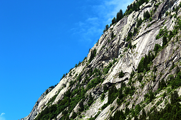 포토 JPG 해외이미지 나무 얼굴 벽 자연 산 풍경 경사 사람없음 목재 옆모습 파란색 계곡 이탈리아 소나무 부식 빙하 알프스 암초 절정 화강암 해외포토 식물 유럽 뷰포인트 컬러 재료 신체부위 암석 생태계 파일형식 이미지허브