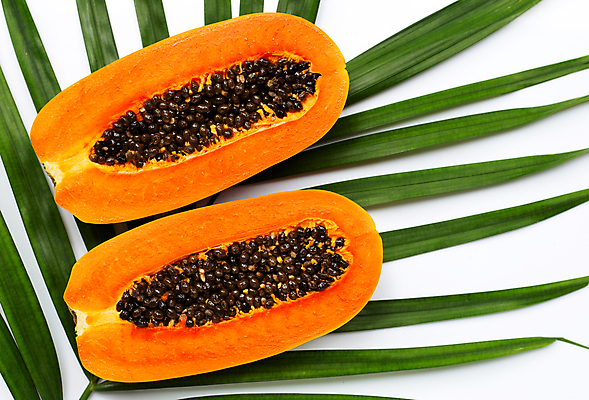 포토 JPG 해외이미지 단면 실내 씨앗 사람없음 열대과일 흰배경 야자수잎 파파야 해외포토 식물 백그라운드 잎 과일 내부 흰색 파일형식 이미지허브