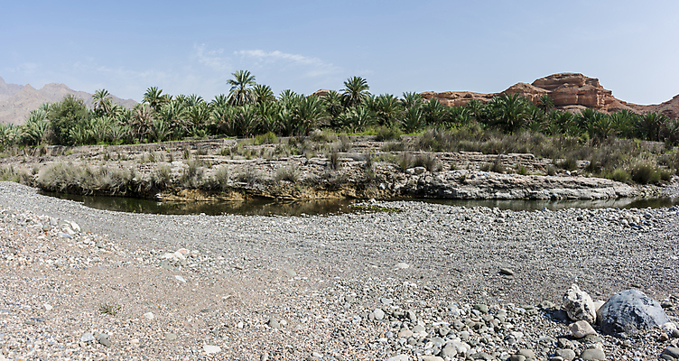 포토 JPG 해외이미지 나무 전통 여행 2 중동 자연 하늘 휴가 산 건조 파노라마 손바닥 풍경 사람없음 초록색 물 파란색 강 야자수 걷기 정원 탐험 시골 농부 장면 암초 아랍어 그리너리 해외포토 자연요소 식물 직업 손 나라 컬러 모션 촬영기법 생태계 파일형식 트랜드컬러 이미지허브
