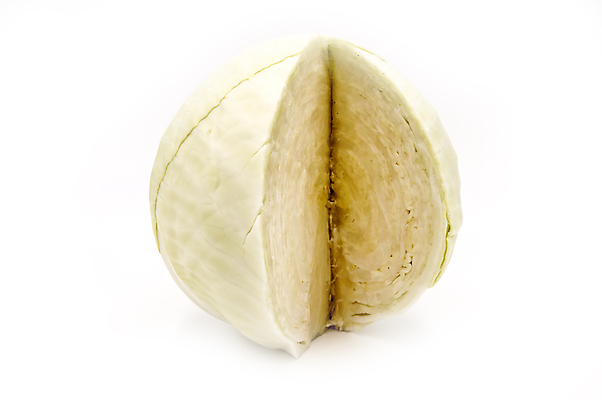 포토 JPG 해외이미지 식물 1 음식 백그라운드 잎 채소 종류 사람없음 초록색 컬러풀 머리 수확 흰색 신선 매끈함 자르기 가득함 싱글 흰배경 양배추 건강식 창백 고립 고체 구역 해외포토 컬러 농업 모션 신체부위 감각 파일형식 이미지허브