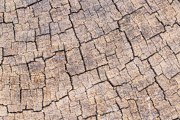 포토 JPG 해외이미지 나무 식물 디자인 벽 가구 백그라운드 패턴 곡선 자연 벽지 표면 추상 바닥 주택 사람없음 목재 장식 빨간색 갈색 줄무늬 수확 소나무 판넬 거친 균열 묘사 질감 복고 통나무 먼지 잡동사니 거짓 수목 엘리먼트 옛날 해외포토 선 컬러 생활용품 무늬 농업 재료 모션 건물 생태계 파일형식 이미지허브