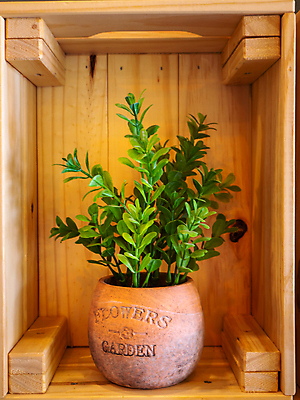 포토 JPG 해외이미지 식물 화분 음식 잎 농업 재료 자연 실내 건강 취미 사람없음 초록색 상자 정원 성장 신선 냄비 컨테이너 허브 환경보전 유기농 원예 국산 건강식 돌봄 세련 해외포토 웰빙 산업 컬러 모션 내부 솥 사회이슈 생태계 파일형식 이미지허브