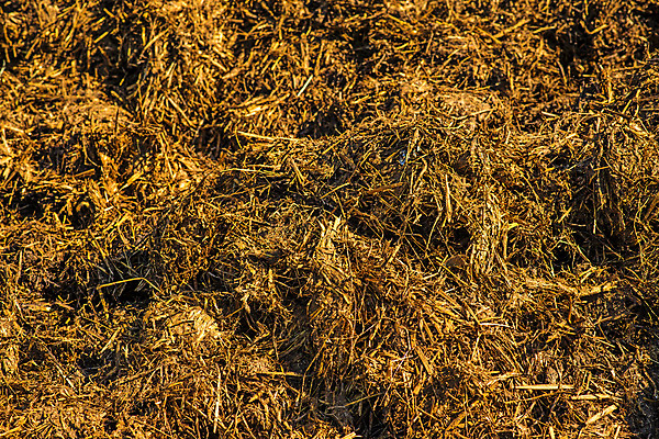 포토 JPG 해외이미지 동물 농업 자연 사람없음 환경 시골 구멍 벌레 위험 지구온난화 밀짚 흙더미 거름 해외포토 산업 곤충 컨셉 흙 짚 생태계 기후변화 파일형식 더미 이미지허브