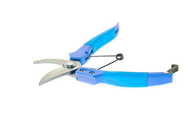 포토 JPG 해외이미지 나무 식물 손 백그라운드 새로움 손잡이 사람없음 파란색 금속 정원 힘 장비 흰색 나뭇가지 공구 업무 칼날 자르기 오브젝트 원예 날카로움 손질 고립 다듬기 원예사 해외포토 직업 컬러 컨셉 모션 재질 취미 신체부위 도구 작업 파일형식 이미지허브