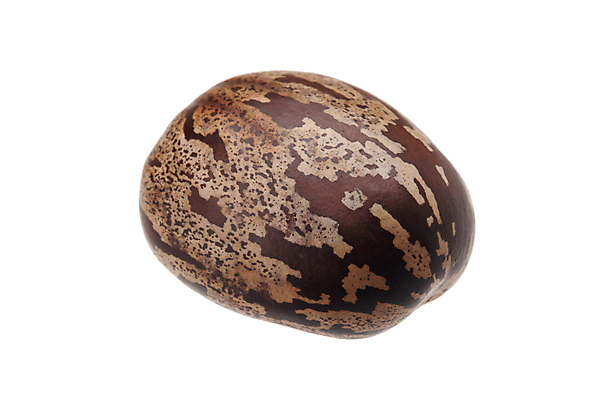 포토 JPG 해외이미지 나무 식물 산업 아시아 농업 태국 자연 씨앗 풍경 사람없음 컵 농작물 농장 우유 성장 나뭇가지 신선 막대기 사발 떨어짐 냄비 숲 열대우림 자르기 수집 날것 타이어 브라질 고무 내추럴 라텍스 공급 해외포토 식기 나라 컨셉 모션 유제품 사기그릇 남아메리카 솥 생태계 파일형식 이미지허브