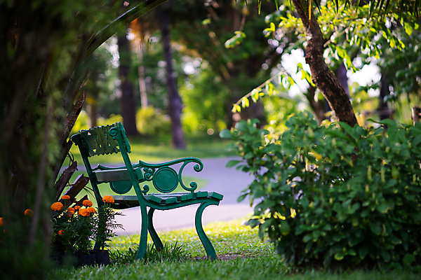 포토 JPG 해외이미지 나무 식물 계절 공원 길 백그라운드 잎 벤치 의자 자연 거리 풍경 사람없음 야외 목재 초록색 여름 햇빛 갈색 우주 정원 침묵 가을 그림 장면 옛날 해외포토 공공시설 컬러 가구 재료 태양 소리 생태계 파일형식 이미지허브