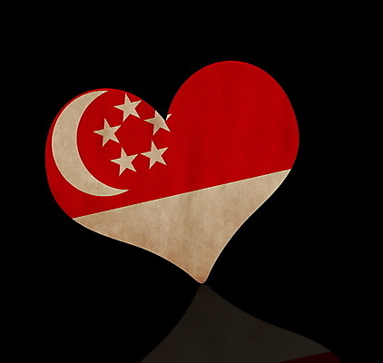 포토 JPG 해외이미지 디자인 여행 백그라운드 컨셉 스티커 사랑 사람없음 컵 빨간색 세계 축구 수확 하트 깃발 선거 심볼 사인 질감 광택 싱가폴 고립 엘리먼트 전국 정부 스타일 해외포토 모양 식기 감정 아시아 컬러 농업 구기 민주주의 파일형식 이미지허브