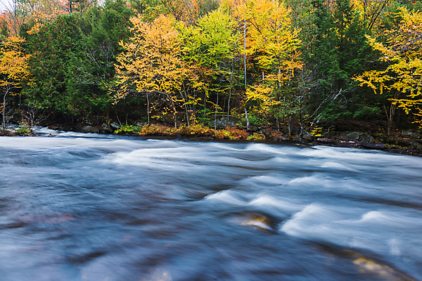 포토 JPG 해외이미지 나무 식물 계절 단풍 잎 오렌지 모션 자연 이끼 풍경 사람없음 야외 목재 빨간색 초록색 물 강 컬러풀 노란색 냉동 폭포 흐름 우유 가을 바위 시골 액체 개울 티켓 떨어짐 숲 강가 즐거움 장노출 느림 현재 해외포토 자연요소 감정 컬러 컨셉 과일 재료 유제품 촬영기법 돌_바위 생태계 파일형식 이미지허브