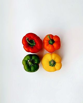 포토 JPG 해외이미지 식물 음식 채소 오렌지 재료 고추 피망 파프리카 건강 사람없음 빨간색 초록색 컬러풀 노란색 쌓기 주방 식당 정원 저녁식사 봄 활발 샐러드 추위 신선 뜨거움 사발 맛 자르기 다발 메뉴 매움 날것 후추 성분 건강식 숙성 정물화 채식주의자 해외포토 계절 컬러 컨셉 과일 모션 상점 식사 사기그릇 향신료 그림 채식 파일형식 이미지허브