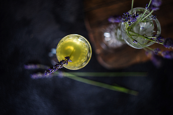 포토 JPG 해외이미지 꽃 주류 실내 사람없음 아웃포커스 하이앵글 라벤더 해외포토 식물 음료 뷰포인트 촬영기법 내부 허브 파일형식 이미지허브