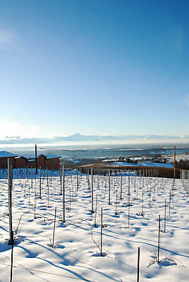포토 JPG 해외이미지 구름 계절 겨울 농업 채소 자연 하늘 리조트 휴가 산 풍경 사람없음 야외 파란색 햇빛 뷰티 여행객 와인 이탈리아 추위 흰색 농촌 시골 언덕 서리 조경 포도밭 포도나무 산봉우리 산기슭 숙성 양조장 눈내림 해외포토 자연요소 유럽 산업 컬러 밭 주류 눈_날씨 사람 태양 과일나무 생태계 봉우리 파일형식 이미지허브
