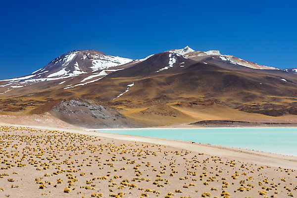 포토 JPG 해외이미지 호수 모래 여행 백그라운드 자연 하늘 휴가 산 건조 파노라마 풍경 사람없음 야외 파란색 계곡 미국 사막 달 남아메리카 화산 소금 칠레 남쪽 석호 오아시스 전국 해외포토 자연요소 컬러 북아메리카 촬영기법 아메리카 방향 생태계 파일형식 이미지허브
