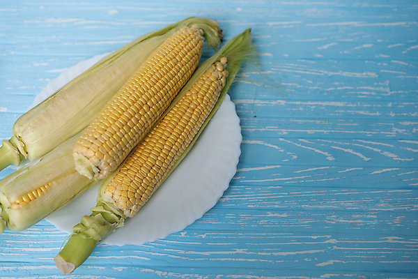 포토 JPG 해외이미지 식물 접시 음식 백그라운드 농업 다이어트 채소 재료 탁자 건강 옥수수 요리 사람없음 초록색 파란색 농장 식사 수확 흰색 시골 신선 황금 달콤 맛 낟알 시리얼 먹기 유기농 알맹이 날것 내추럴 점심식사 숙성 채식주의자 비건 해외포토 식기 웰빙 산업 컬러 가구 컨셉 모션 곡류 채식 파일형식 이미지허브