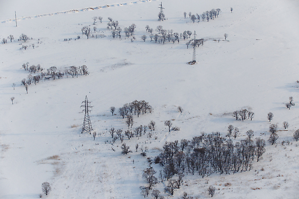 포토 JPG 해외이미지 나무 계절 공원 유럽 백그라운드 크리스마스 겨울 밭 농업 자연 하늘 날씨 사람없음 야외 목재 물 파란색 빛 강 농장 농경지 냉동 얼음 일몰 추위 흰색 시골 신선 시원함 네덜란드 서리 장면 내추럴 밭일 옛날 폭설 눈내림 해외포토 자연요소 식물 공공시설 기념일 나라 산업 컬러 재료 눈_날씨 노을 자연재해 생태계 파일형식 이미지허브