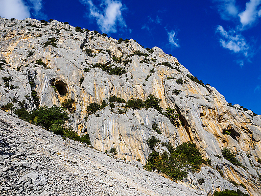포토 JPG 해외이미지 주간 나무 식물 공원 여행 자연 안테나 이끼 풍경 사람없음 야외 목재 물 강 여행객 골짜기 맑음 이탈리아 폭포 산책로 하이킹 조약돌 개울 황무지 숲 태평양 암초 양치류 전국 해외포토 자연요소 공공시설 유럽 길 바다 재료 통신 레저 날씨 사람 돌_바위 생태계 파일형식 이미지허브