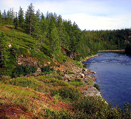 포토 JPG 해외이미지 나무 유럽 야생동물 여행 백그라운드 자연 사람없음 야외 물 강 골짜기 계곡 흰색 소나무 개울 황무지 헬리콥터 숲 북극 러시아 장면 북쪽 내추럴 시베리아 해외포토 자연요소 식물 동물 나라 컬러 비행기 극지방 방향 생태계 파일형식 이미지허브