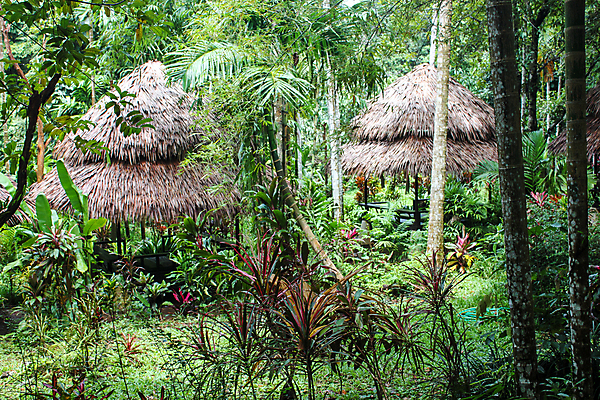 포토 JPG 해외이미지 나무 식물 아시아 길 여행 창문 자연 호텔 휴가 주택 풍경 사람없음 건물 목재 초록색 정원 중앙 숲 작음 오두막 갑판 에코 시골집 휴양지 내추럴 생태학 그리너리 해외포토 건축물 교육 나라 컬러 배_교통 재료 숙소 환경 장소 크기 생태계 파일형식 트랜드컬러 이미지허브