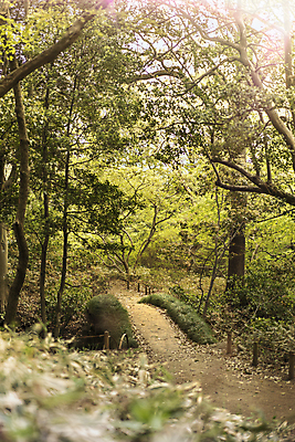 포토 JPG 해외이미지 나무 식물 구름 계절 공원 꽃잎 꽃 분홍색 백그라운드 잎 자연 하늘 사람없음 야외 목재 파란색 컬러풀 뷰티 정원 일본 봄 흰색 나뭇가지 연못 신선 소나무 화려 도쿄 숲 붓꽃 내추럴 창백 방법 해외포토 자연요소 공공시설 아시아 컬러 컨셉 재료 생태계 파일형식 이미지허브