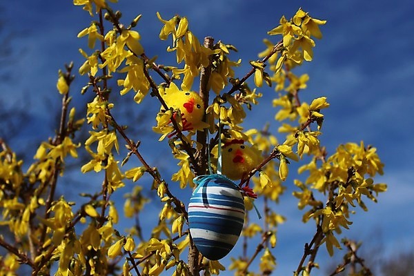 포토 JPG 해외이미지 자연 사람없음 장식 4월 부활절계란 내추럴 해외포토 부활절 계란 날짜 생태계 파일형식 이미지허브