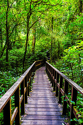 포토 JPG 해외이미지 나무 식물 공원 도로 길 여행 백그라운드 잎 자국 자연 아침 산 사람없음 야외 목재 빨간색 초록색 빛 태양 뷰티 환경 일몰 새벽 활발 하이킹 안개 나뭇가지 황무지 숲 장면 폴란드 내추럴 해외포토 주간 자연요소 공공시설 유럽 컬러 컨셉 재료 교통시설 레저 날씨 노을 생태계 파일형식 이미지허브