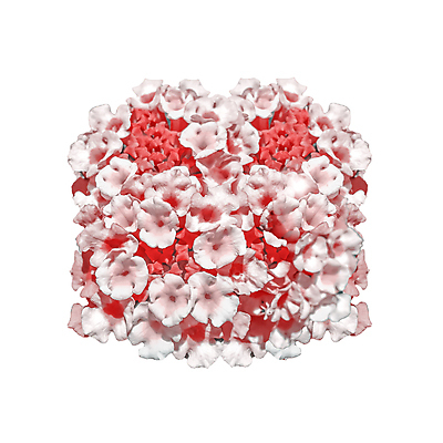 포토 JPG 해외이미지 식물 꽃 꽃다발 결혼 백그라운드 자연 결혼식 종류 선물 사람없음 장식 빨간색 뷰티 벚꽃 화려 개화 자르기 배열 관목 순수 내추럴 장례 고립 엘리먼트 해외포토 나무 컬러 컨셉 모션 이벤트 생태계 파일형식 이미지허브