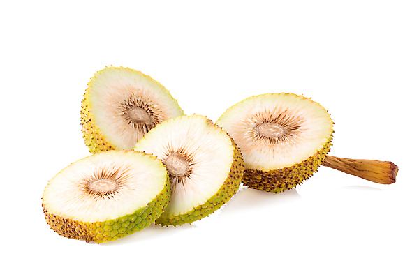 포토 JPG 해외이미지 나무 식물 빵 섬 여행 잎 과일 자연 열대 사람없음 초록색 개화 오세아니아 열대우림 태평양 남쪽 내추럴 이국적 해외포토 꽃 나라 음식 바다 컬러 숲 방향 생태계 파일형식 이미지허브