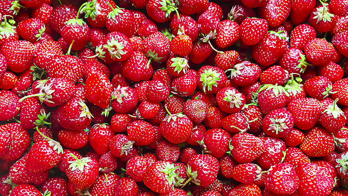 포토 JPG 해외이미지 접시 열매 음식 백그라운드 잎 겨울 과일 재료 탁자 딸기 디저트 건강 요리 사람없음 빨간색 초록색 농작물 바구니 수확 껍질 시골 신선 그룹 달콤 맛 아침식사 큼 잼 오브젝트 날것 포니테일 내추럴 숙성 용량 채식주의자 많음 비건 해외포토 식물 헤어스타일 식기 계절 컬러 가구 컨셉 농업 식사 소스_음식 크기 채식 파일형식 이미지허브