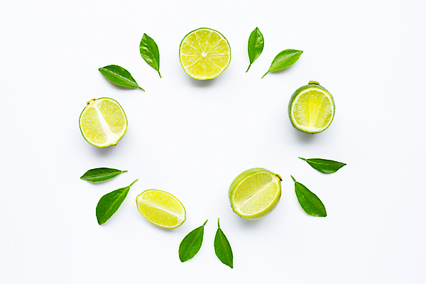 포토 JPG 해외이미지 잎 단면 사람없음 흰배경 라임 카피스페이스 해외포토 식물 백그라운드 과일 공백 흰색 파일형식 이미지허브