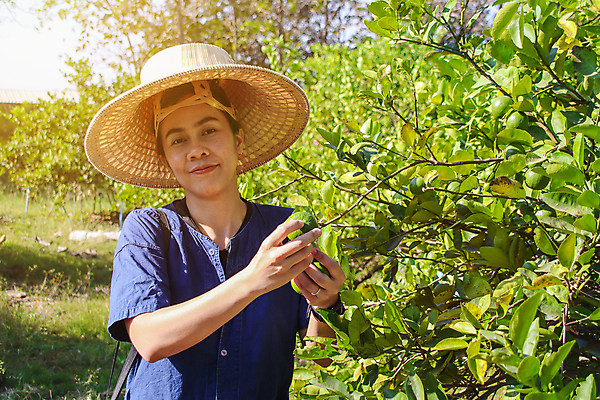 포토 JPG 해외이미지 나무 식물 백인 계절 여자 행복 음식 밭 농업 과일 비즈니스 자연 노동자 귤 주택 건강 관리 한명 사람 취미 초록색 농장 정원 수확 신선 잡기 업무 작업 선택 농부 꽃집 레몬 유기농 원예 라임 내추럴 돌봄 숙성 온실 해외포토 서양인 직업 1 웰빙 감정 산업 컬러 컨셉 모션 건물 상점 생태계 파일형식 이미지허브